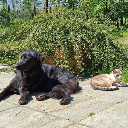 Il Casolare Del Medio Olona Bed & Breakfast Fagnano Olona Dış mekan fotoğraf