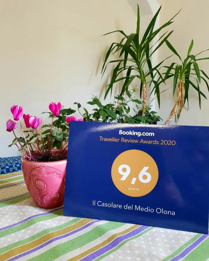 Il Casolare Del Medio Olona Bed & Breakfast Fagnano Olona Dış mekan fotoğraf
