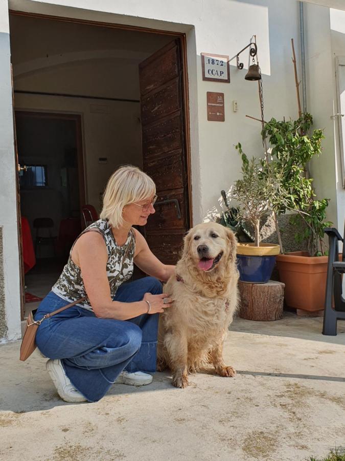 Il Casolare Del Medio Olona Bed & Breakfast Fagnano Olona Dış mekan fotoğraf