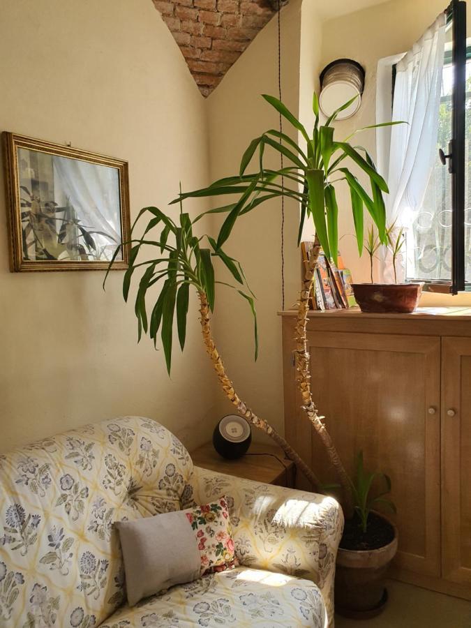 Il Casolare Del Medio Olona Bed & Breakfast Fagnano Olona Dış mekan fotoğraf