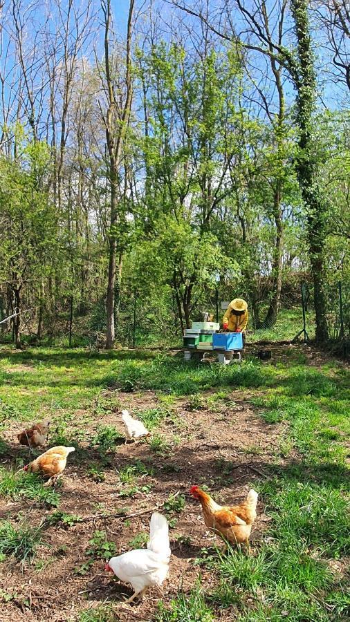 Il Casolare Del Medio Olona Bed & Breakfast Fagnano Olona Dış mekan fotoğraf