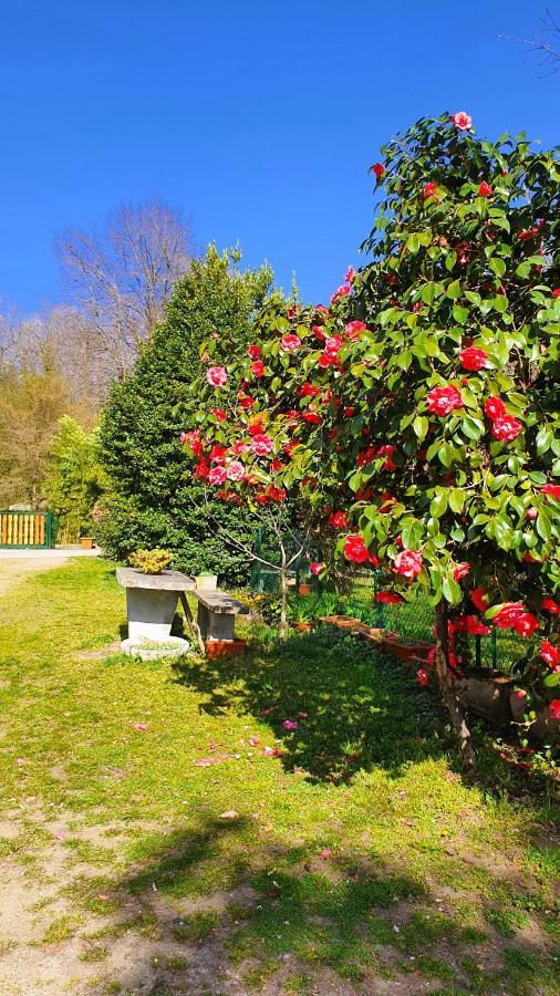 Il Casolare Del Medio Olona Bed & Breakfast Fagnano Olona Dış mekan fotoğraf