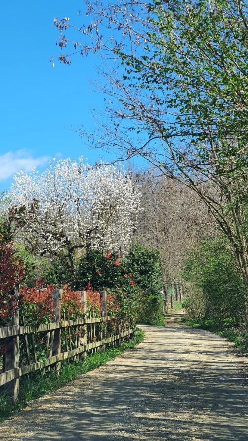 Il Casolare Del Medio Olona Bed & Breakfast Fagnano Olona Dış mekan fotoğraf