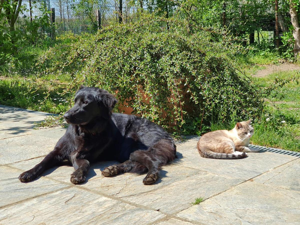 Il Casolare Del Medio Olona Bed & Breakfast Fagnano Olona Dış mekan fotoğraf